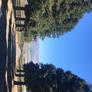 Meet your Posher, Bertha